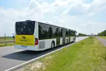 Am 04.06.2016 fährt P-AV 161 für die ILA 2016 auf der ILA Sonderlinie P3 zwischen Parkplatz P3 und ILA-Gelände. Aufgenommen wurde ein Mercedes Benz Citaro I Facelift G der BVSG (Betriebshof Potsdam).