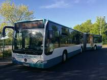 Mercedes Citaro II der Neubrandenburger Verkehrsbetriebe in Neubrandenburg am 01.06.2017 (Inzwischen ausgemustert)