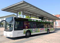 MAN Lios City der Verkehrsbetriebe Nordhausen am Busbahnhof (Bahnhofsvorplatz) Nordhausen 14.07.2018