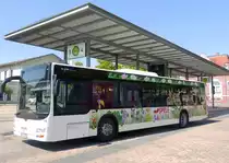 MAN Lios City der Verkehrsbetriebe Nordhausen am Busbahnhof (Bahnhofsvorplatz) Nordhausen 14.07.2018