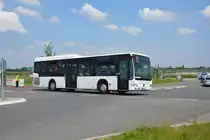 Am 04.06.2016 fährt OPR-PV 121 für die ILA 2016 auf der ILA Sonderlinie P3 zwischen Parkplatz P3 und ILA-Gelände. Aufgenommen wurde ein Mercedes Benz Citaro I Facelift Ü Low Entry.  