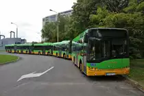 MPK Solaris Urbino 8,9 Wagen 1758, 1771 und 1756 und Solaris Urbino 18 Wagen 1854 am 17.07.18 in Poznan (Posen)