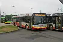 Swarzedz Solaris Urbino 15 Wagen 4131 am 19.07.18 in Poznan (Polen)