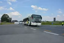 Am 04.06.2016 fährt TF-VG 98 für die ILA 2016 auf der Shuttle Linie  S . Aufgenommen wurde ein MAN Lion's City Ü der VTF.