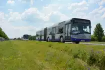 Am 04.06.2016 fährt P-AV 313 für die ILA 2016 auf der Shuttle Linie  P3 . Aufgenommen wurde ein Solaris Urbino 18 der BVSG / Betriebshof Werder an der Havel.
