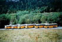 Alle 6 Saurer, die an der Postautofahrt Griesalp-Bundalp teilnahmen, am 27. September 2008 Kiental, Tschingelsee
