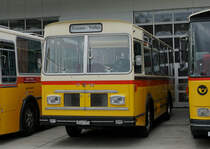 SAURER-Treffen 2018
Fotos von Walter Ruetsch
Das SAURER-Treffen 2018 fand am 25. August 2018 auf dem Gelände des Campus Sursee statt.
