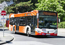 MB O 530 Typ C2 der SWB, BN-SW 4273 in Bonn - 06.06.2018