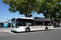 Stadtbus Aschaffenburg / Verkehrsgemeinschaft am Bayerischen Untermain (VAB): Mercedes-Benz Citaro Facelift der Stadtwerke Aschaffenburg Verkehrs-GmbH (STWAB), aufgenommen Anfang Juli 2018 am Hauptbahnhof in Aschaffenburg.