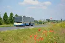 Am 04.06.2016 fährt LDS-VG 246 für die ILA 2016 Shuttle zwischen ILA-Parklatz und ILA-Gelände. Aufgenommen wurde ein Mercedes Benz Citaro G I Facelift.
