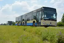 Am 04.06.2016 fährt LDS-VG 258 für die ILA 2016 Shuttle auf der Shuttle Linie  P3 . Aufgenommen wurde ein Mercedes Benz Citaro G II der RVS.
