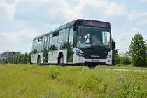 KO-UQ 622 fährt am 04.06.2016 für die ILA auf der Shuttle-Linie  S . Aufgenommen wurde ein Scania Citywide.