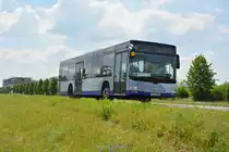 Am 04.06.2016 fährt P-AV 585 für die ILA 2016 auf der Shuttle Linie  L . Aufgenommen wurde ein MAN Lion's City der BVSG / Betriebshof Stahnsdorf.