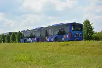 Am 04.06.2016 fährt OHV-VK 41 für die ILA 2016 auf der Shuttle Linie  R . Aufgenommen wurde ein Mercedes Benz Citaro G II der OVG.