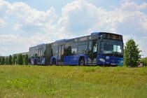 Am 04.06.2016 fährt OHV-VK 41 für die ILA 2016 auf der Shuttle Linie  R . Aufgenommen wurde ein Mercedes Benz Citaro G II der OVG.
