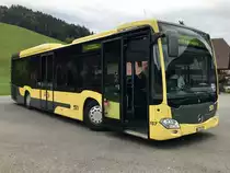MB C2 LE Nr. 157 der STI bei der Haltestelle Teuffenthal Dorf am 30.9.18.