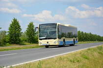 Am 04.06.2016 fährt LDS-VG 263 für die ILA 2016 auf der Shuttle Linie  P3 . Aufgenommen wurde ein Mercedes Benz Citaro Low Entry der 2. Generation.