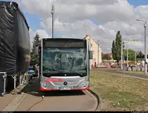 Mercedes-Benz O530 Citaro 2, Wagen 517  Johann Reinhold Forster  (HAL-R-617), der Halleschen Verkehrs-AG (HAVAG) steht zum Tag der offenen Tore im HAVAG-Betriebshof Freiimfelder Straße.
[1.9.2018 | 11:43 Uhr]