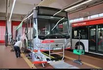 Mercedes-Benz O530 Citaro 2, Wagen 503  Martin Luther  (HAL-R-483), der Halleschen Verkehrs-AG (HAVAG) steht zum Tag der offenen Tore im HAVAG-Betriebshof Freiimfelder Straße.
[1.9.2018 | 12:00 Uhr]