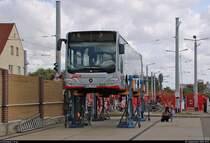 Mercedes-Benz O530 Citaro 2, Wagen 520  Peter Sodann  (HAL-R-520), der Halleschen Verkehrs-AG (HAVAG) steht zum Tag der offenen Tore auf einer Hebebühne im HAVAG-Betriebshof Freiimfelder Straße.
[1.9.2018 | 12:01 Uhr]