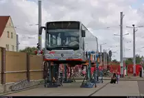 Mercedes-Benz O530 Citaro 2, Wagen 520  Peter Sodann  (HAL-R-520), der Halleschen Verkehrs-AG (HAVAG) steht zum Tag der offenen Tore auf einer Hebebühne im HAVAG-Betriebshof Freiimfelder Straße.
[1.9.2018 | 12:01 Uhr]