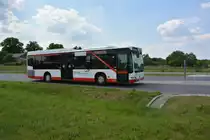 Am 04.06.2016 fährt UM-LE 511 für die ILA auf der Shuttle-Linie P3 zwischen ILA Gelände und Parkplatz P3. Aufgenommen wurde ein Mercedes Benz Citaro I Facelift Ü Low Entry.
