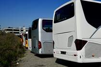 Diverse Hecks von Setra und Mercedes-Benz Bussen am 13.10.18 bei Evobus in Kloten.