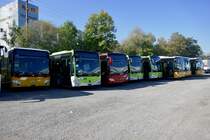 Alle neuen MB C2 die am 13.10.18 bei Evobus in Kloten abgestellt sind.