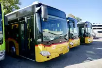 Drei neue MB C2 für PostAuto am 13.10.18 bei Evobus Kloten abgestellt.