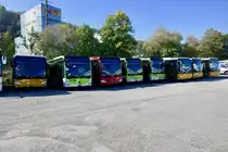Alle neuen MB C2 für diverse Betriebe auf einem Blick, am 13.10.18 bei Evobus in Kloten.