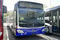 Neuer MB C2 G für die VZO Grüningen am 13.10.18 beim Eurobus Zentrum in Bassersdorf abgestellt.