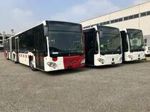 Ein neuer TPF MB C2 GÜ neben den Zwei neuen C2 G für die VBG (die schon letzte Woche da standen) am 20.10.18 bei Evobus in Kloten.