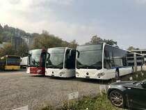 Zwei neue MB C2 G für die VBG und ein neuer C2 GÜ für die TPF am 20.10.18 bei Evobus in Kloten abgestellt.