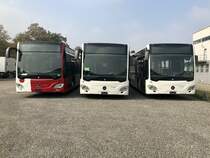 Der neue MB C2 GÜ für die TPF mit den zwei neuen C2 G für die VBG am 20.10.18 bei Evobus in Kloten abgestellt.