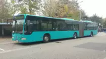 Hier ist der SÜW ZQ 96 von Striebig Deutschland auf der Buslinie 541 nach Landau Hauptbahnhof unterwegs. Gesichtet am 29.10.2018 am Schulzentrum in Bad Bergzabern.