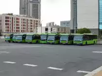 11.01.17,Busbahnhof in Santa Cruz de Tenerife.