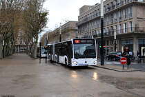 231 (EZ 871 HO) ist am 12.11.2018 zwischen Hôtel de Ville und Georges V in Le Havre auf der Linie 2 unterwegs. Der Bus fährt bis zur Endstelle Grand Quai