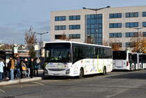 2586 (DS 384 TY) Le Havre, Gares. Dieser schicke Bus kommt aus dem Bereich Caen nach Le Havre und fährt gleich als Linie 20 über Honfleur nach Caen.

Aufgenommen am 12.11.2018