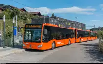 Citaro RBS 20, 7 und ein weiterer Bus warten am 27. August 2018 am Bahnhof Bolligen auf die Abfahrt.