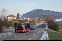 MAN Lions City BERNMOBIL 413 am 19. Januar 2019 auf der Linie 29 zwischen Landorf und Leen.
