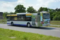 Am 04.06.2016 fährt P-AV 587 auf der ILA-Sonderlinie L zwischen S-Bahnhof Schichauweg und dem ILA-Gelände. Aufgenommen wurde ein MAN Lion's City der BVSG.