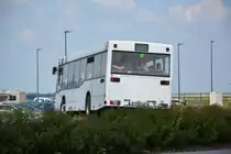 Am 04.06.2016 fährt B-CM 366 für die ILA 2016 auf der ILA Sonderlinie R zwischen U-Bahnhof Rudow und ILA-Gelände. Aufgenommen wurde ein Mercedes Benz O 405N.