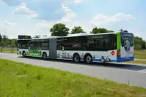 Am 04.06.2016 fährt PM-RB 165 auf der Sonderlinie P3 zwischen ILA-Parkplatz und dem ILA Gelände. Aufgenommen wurde ein Mercedes Benz Citaro CapaCity der VGB.