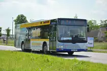 Am 04.06.2016 fährt P-AV 587 auf der ILA-Sonderlinie L zwischen S-Bahnhof Schichauweg und dem ILA-Gelände. Aufgenommen wurde ein MAN Lion's City der BVSG.