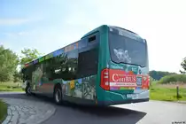 Am 23.05.2017 steht P-AV 922 in der Wendeschleife Potsdam Am Hämphorn. Aufgenommen wurde ein Mercedes Benz Citaro der zweiten Generation.