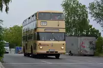 Am 24.06.2017 fährt B-L 1794H (Büssing DE 65) auf der Sonderlinie 81.