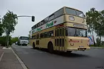 Am 24.06.2017 fährt B-L 1794H (Büssing DE 65) auf der Sonderlinie 81.