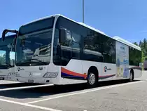 Ein MB Citaro Facelift LE von Aargau Verkehr am 31.5.19 beim Eurobus Zentrum Bassersdorf parkiert.