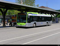 BLS Busland - Mercedes Citaro  Nr.105  BE  737105 in Burgdorf am 08.06.2019