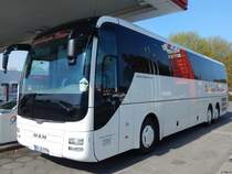 MAN Lion's Coach von Sudenburger Reise-Spatz aus Deutschland in Binz am 29.04.2016